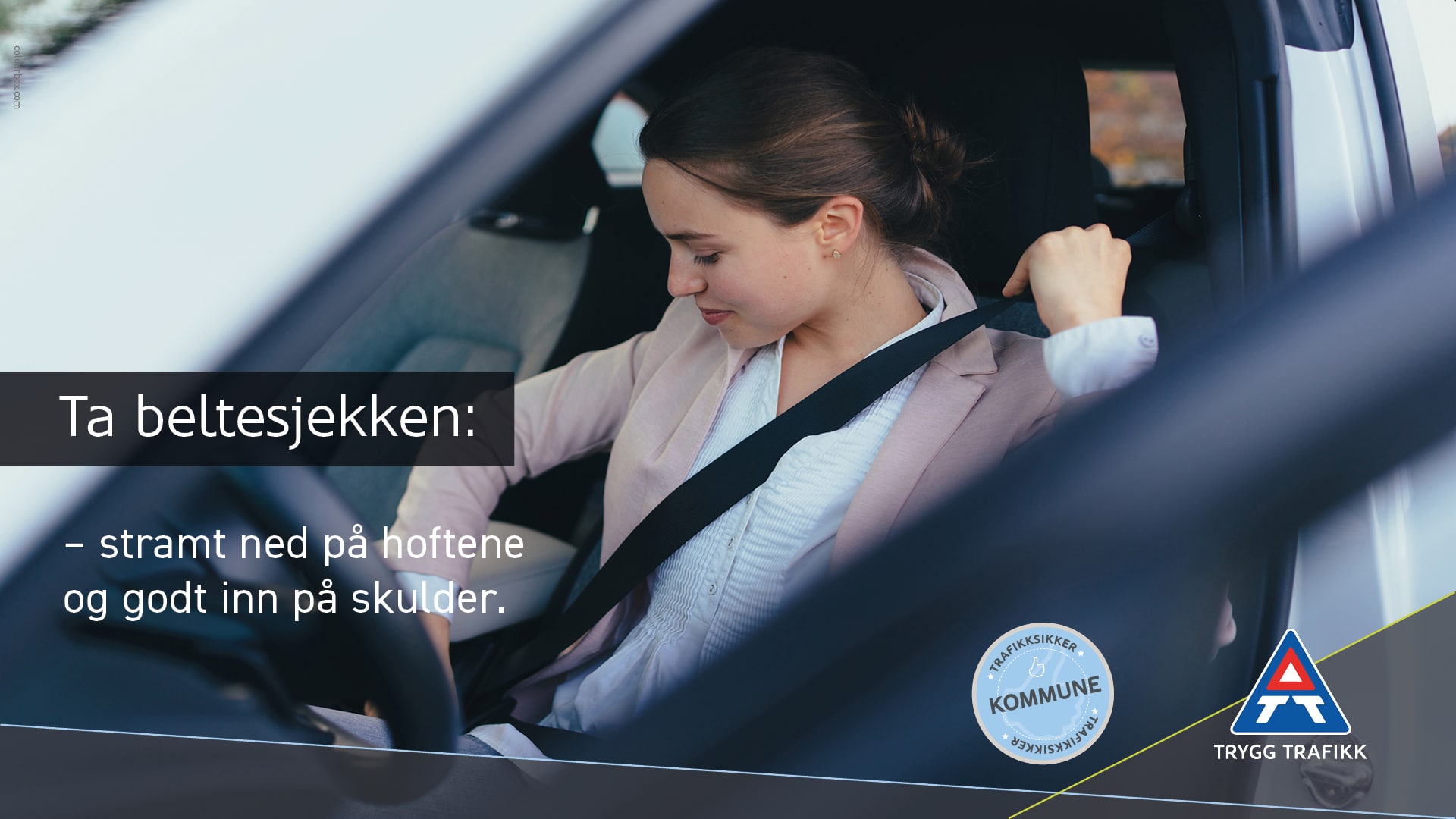 Ta beltesjekken