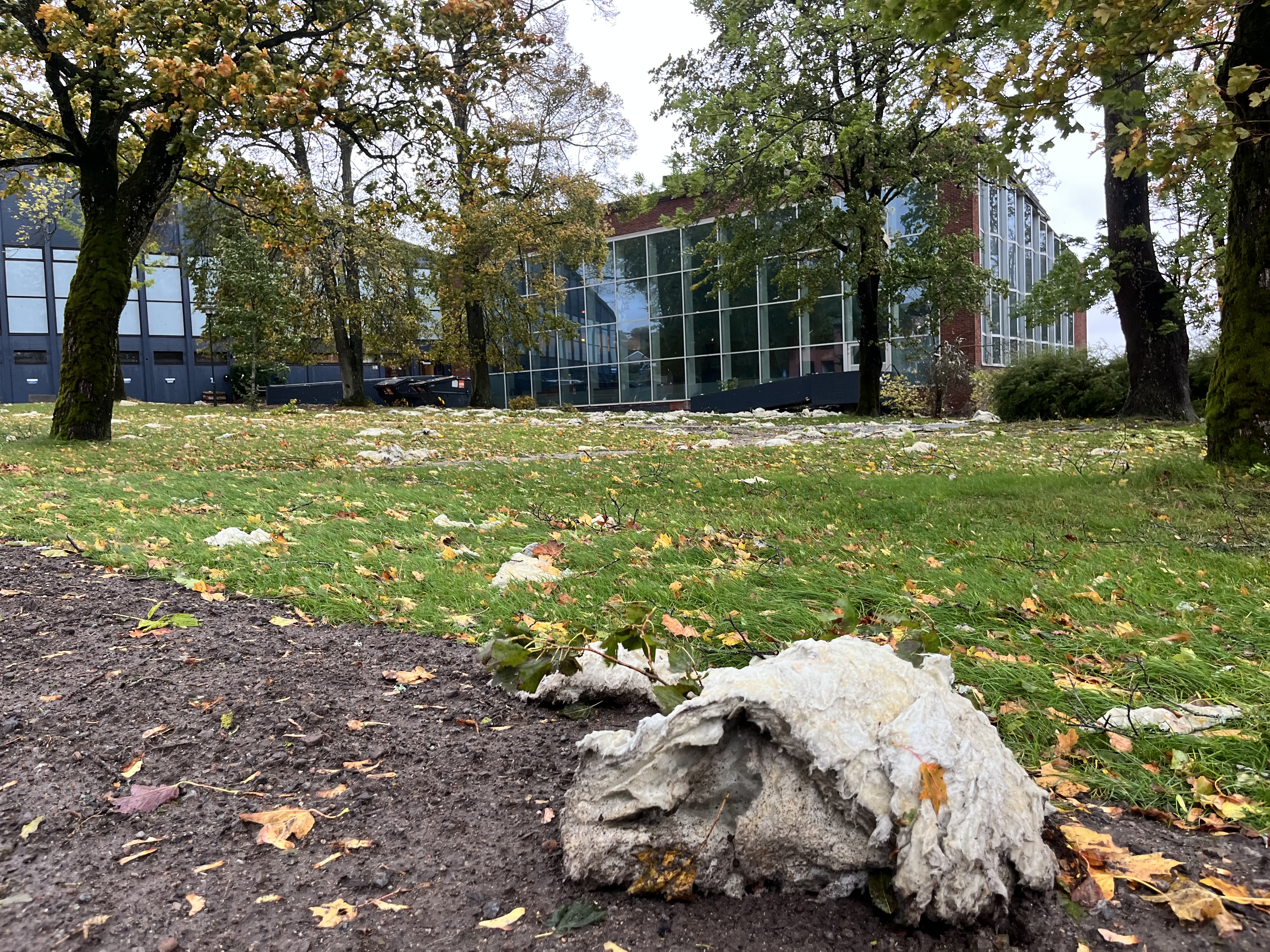 Slik håndterer Larvik kommune herjingene til «Amy» videre