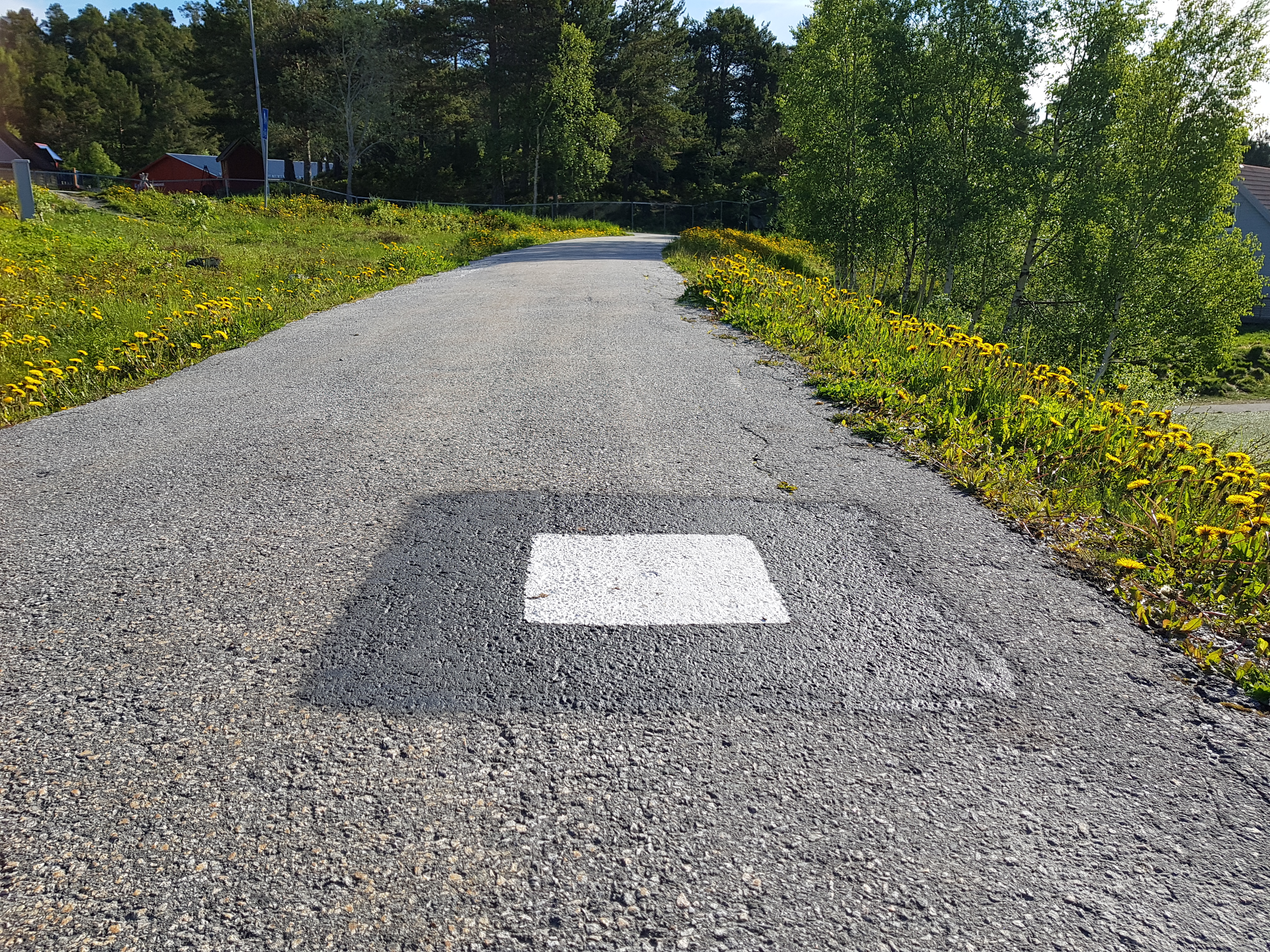 Lurer du på hva de disse hvite firkantene gjør på bakken?