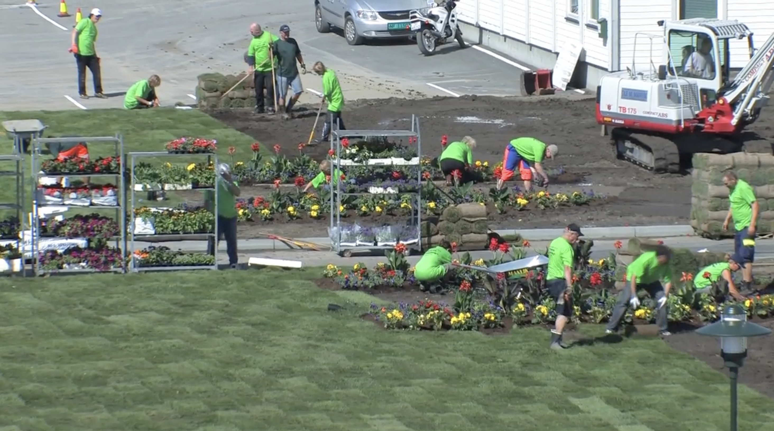 Indre Havn Planting