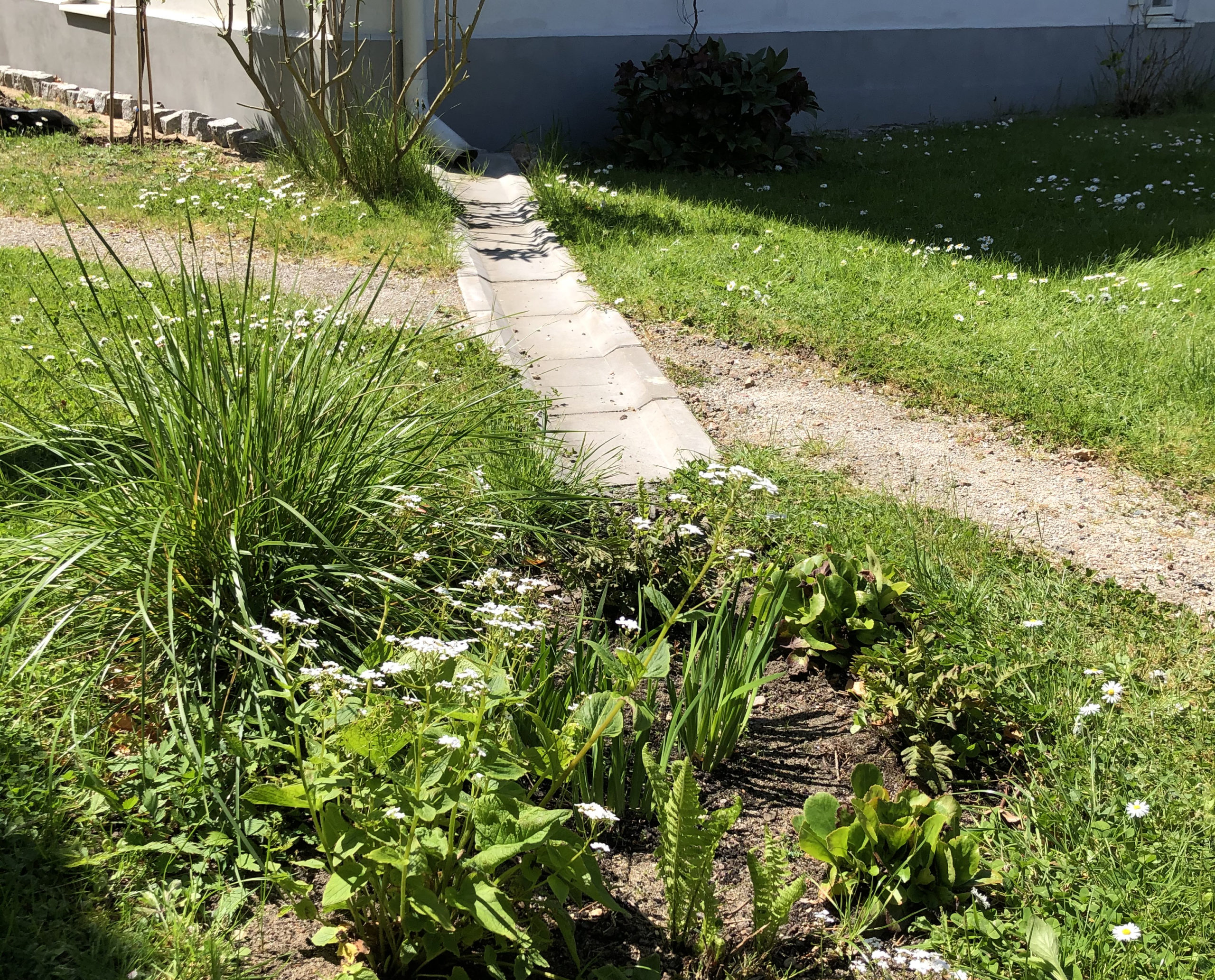 Ta hånd om vannet i hagen