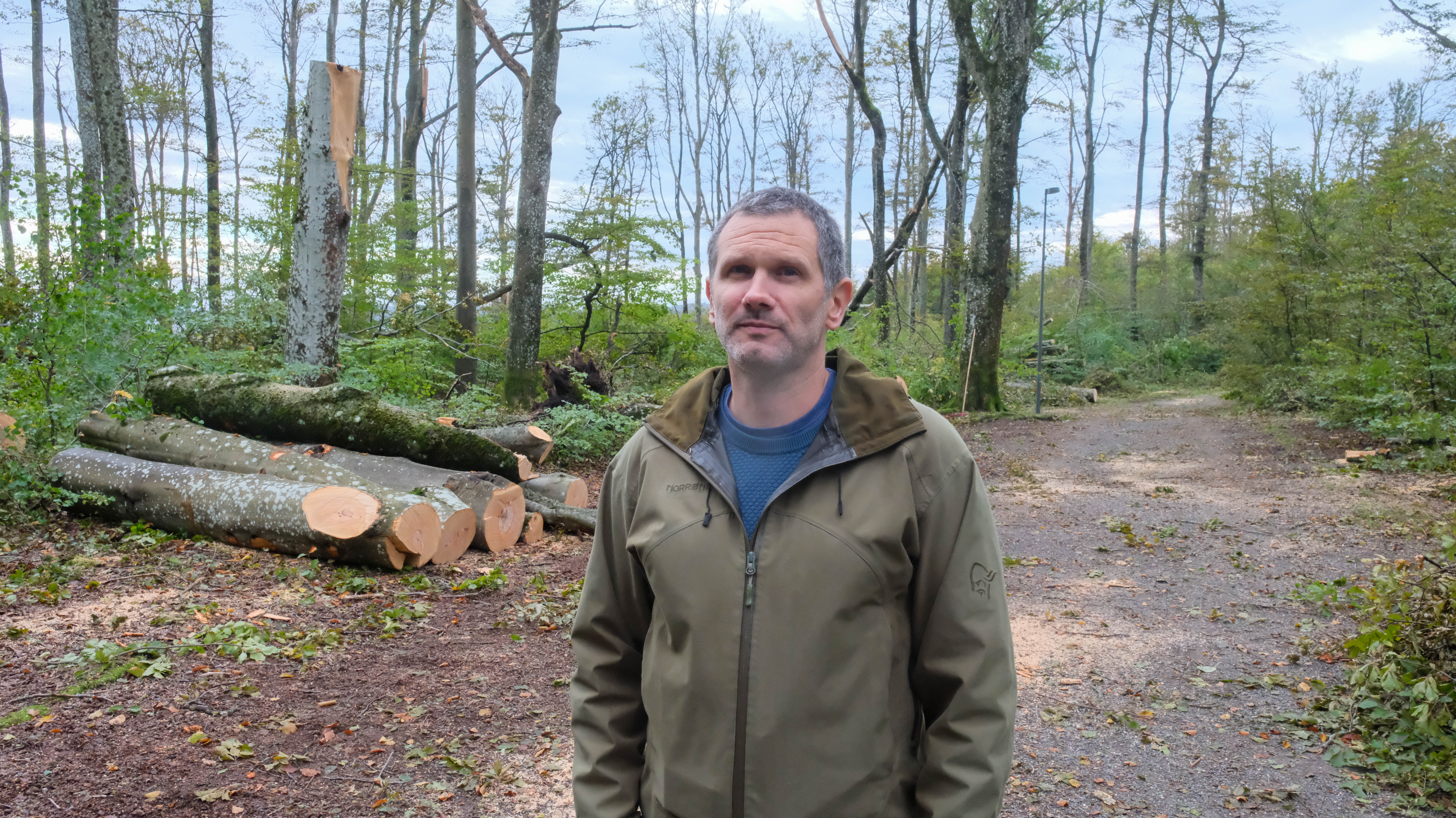 Opprydningen etter "Amy" fortsetter i Bøkeskogen