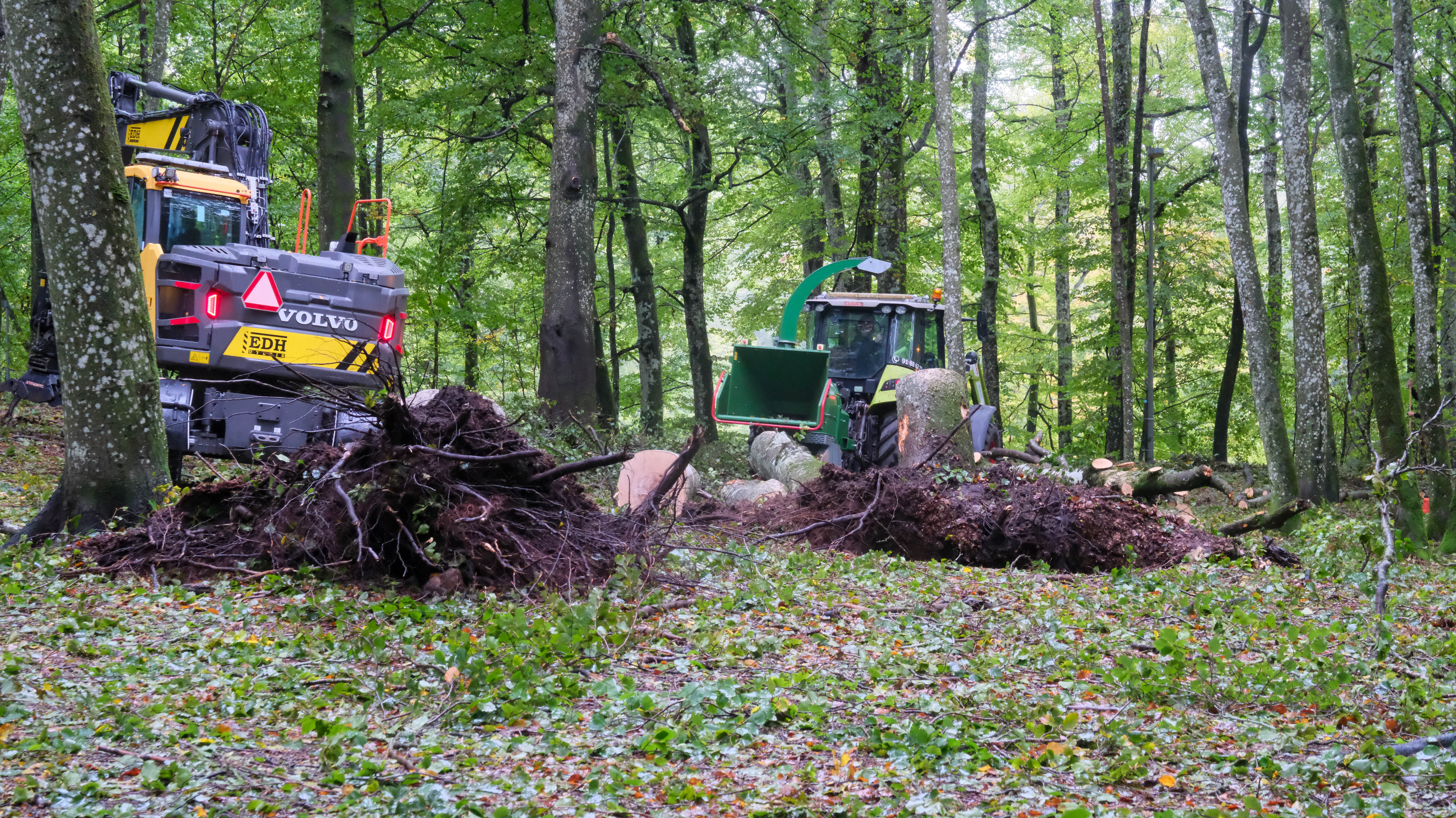 Opprydningen i Bøkeskogen er i gang