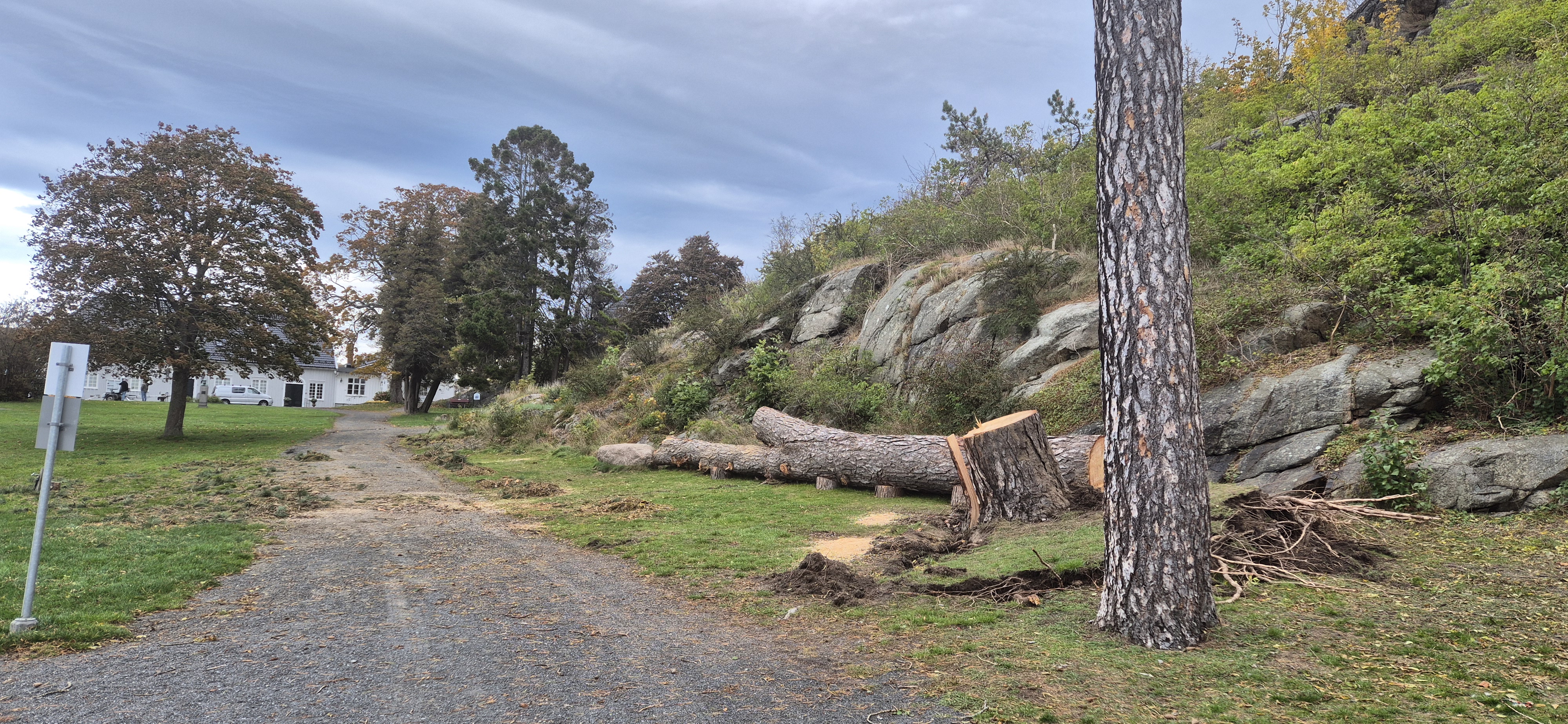 Tips om Amy-oppdrag renner inn fra innbyggerne