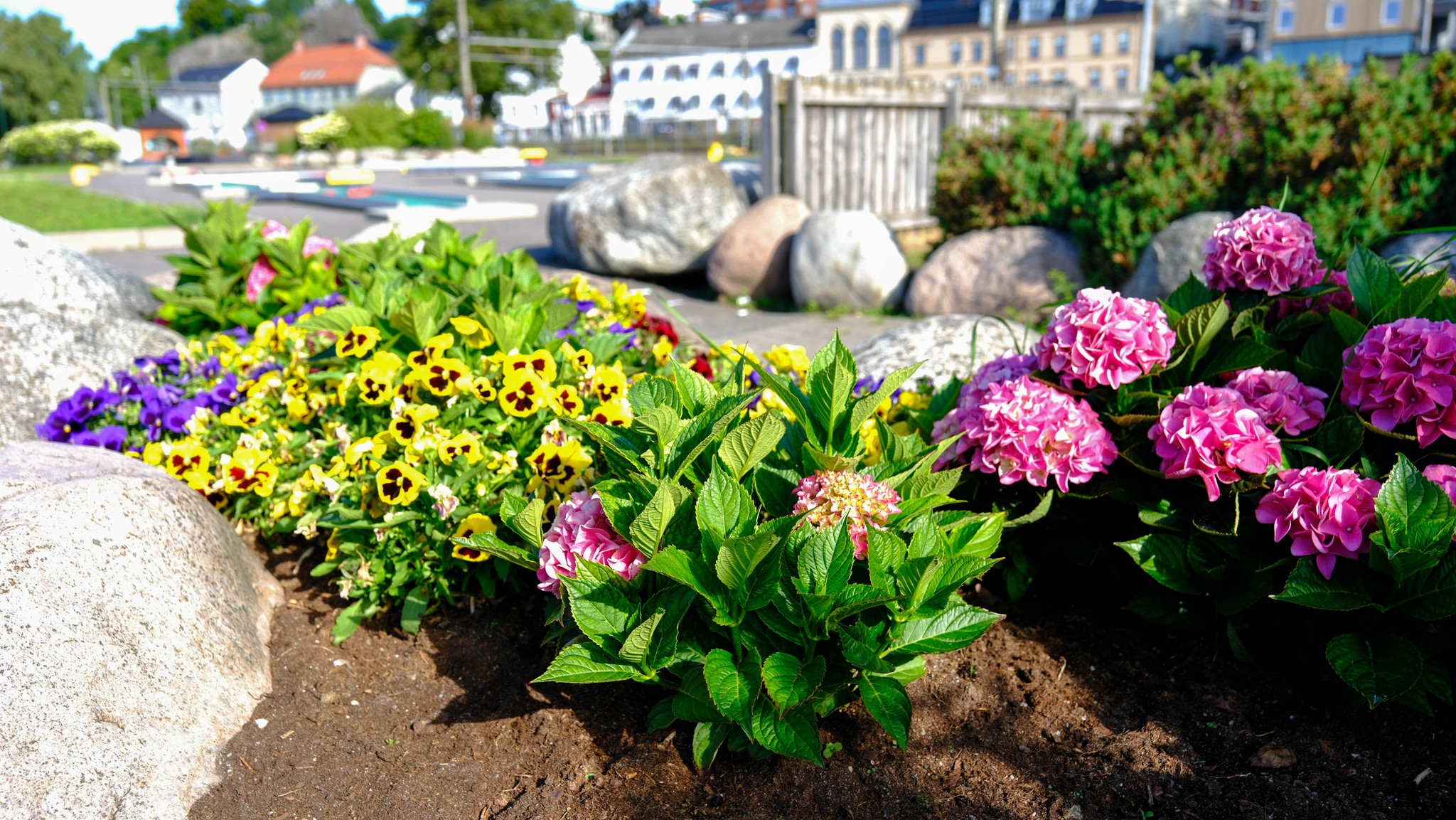 Blomster Indre Havn