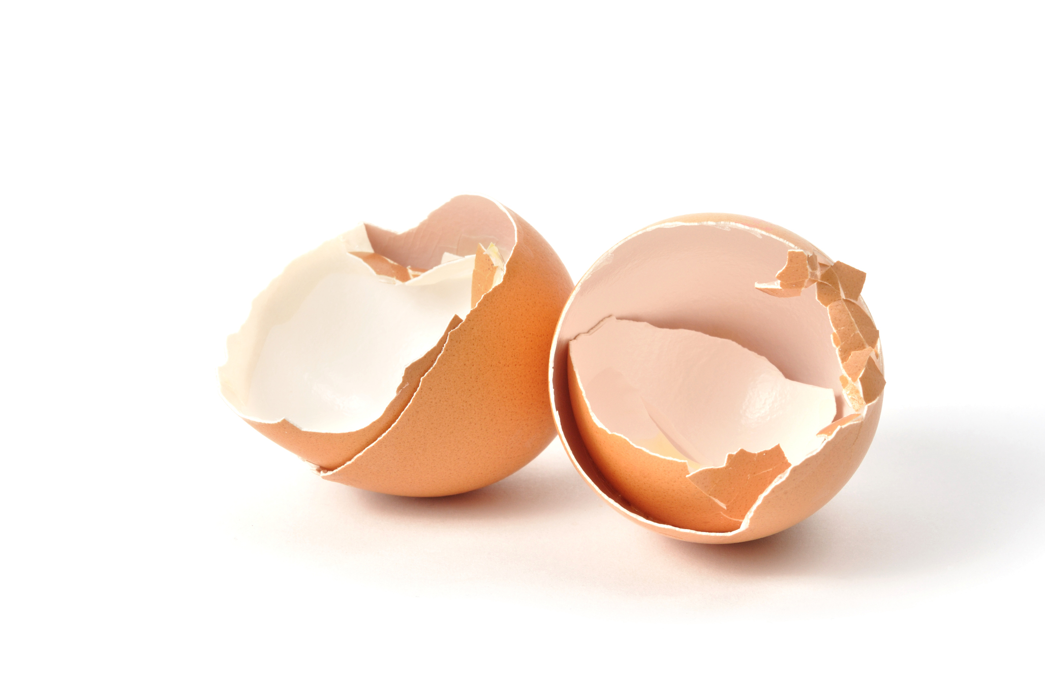 Eggeskall Istock