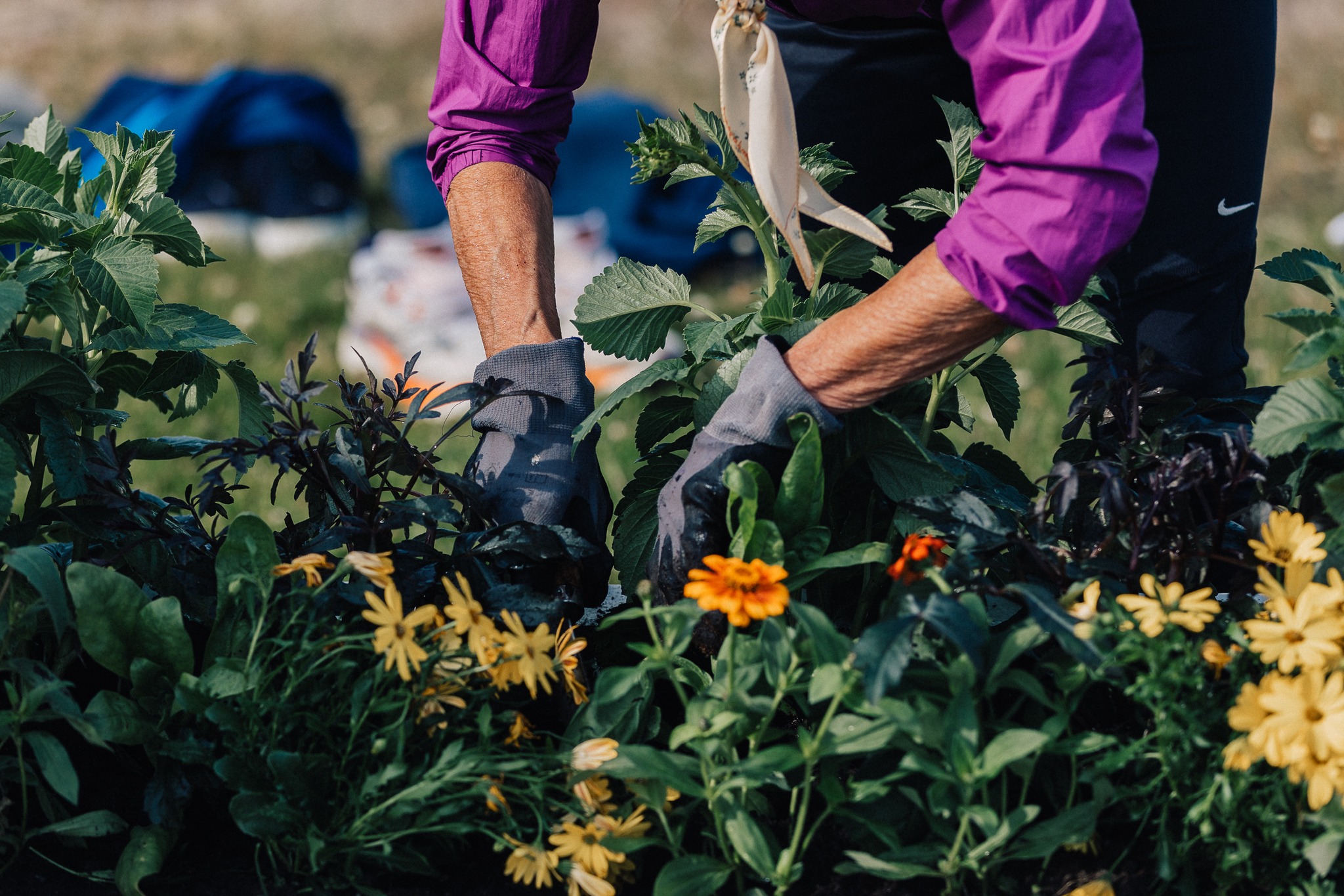 Inviterer til høstdugnad i indre havn 