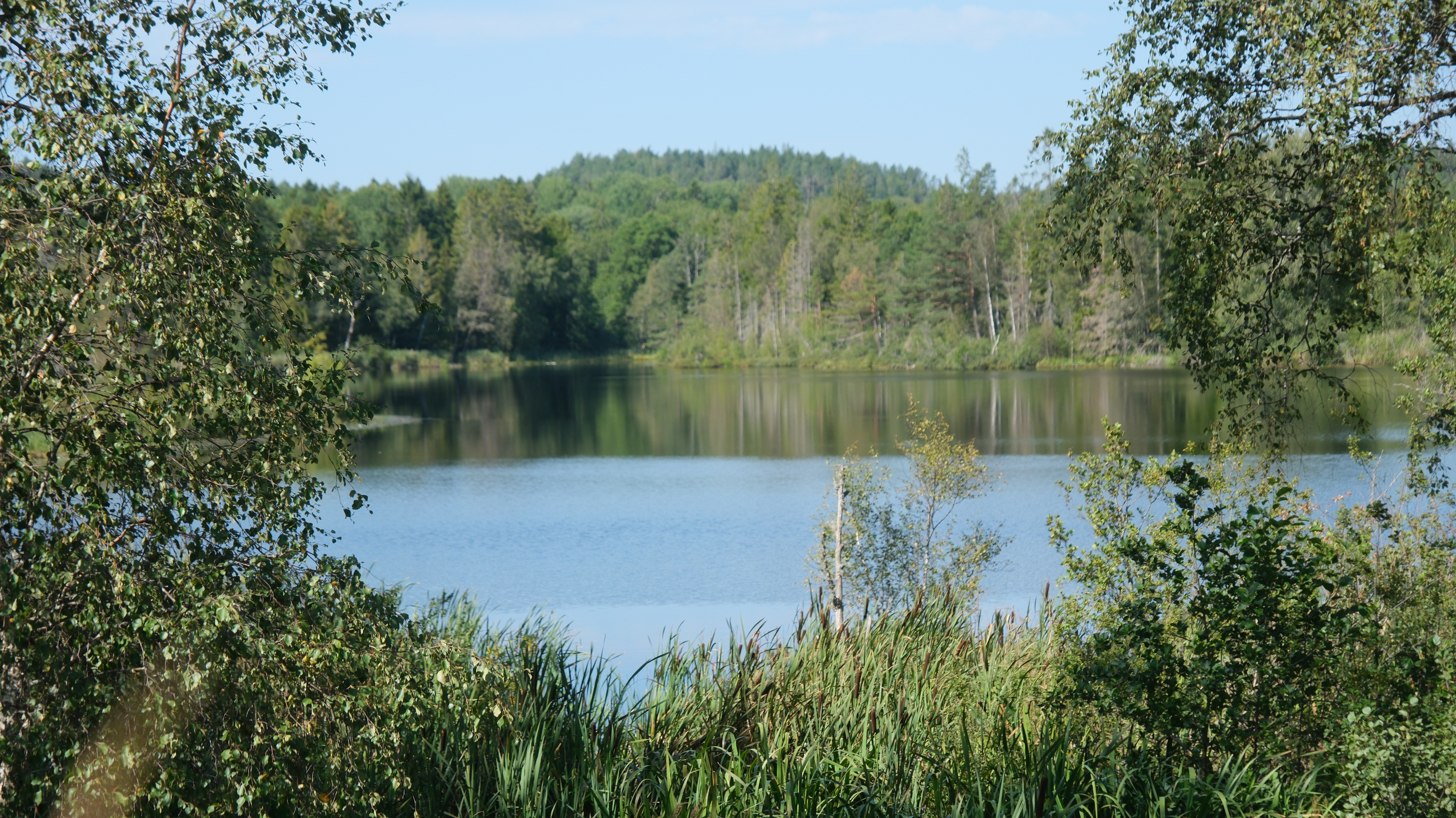 Befaring Veldre august 2025 (19).JPG