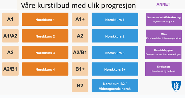 Bilde av en modell som beskriver kurstilbudene som finnes ved avdeling Norskskolen