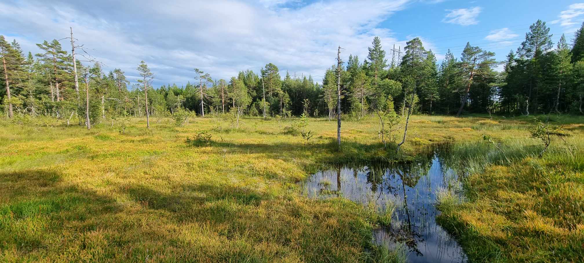 Naturkartlegge