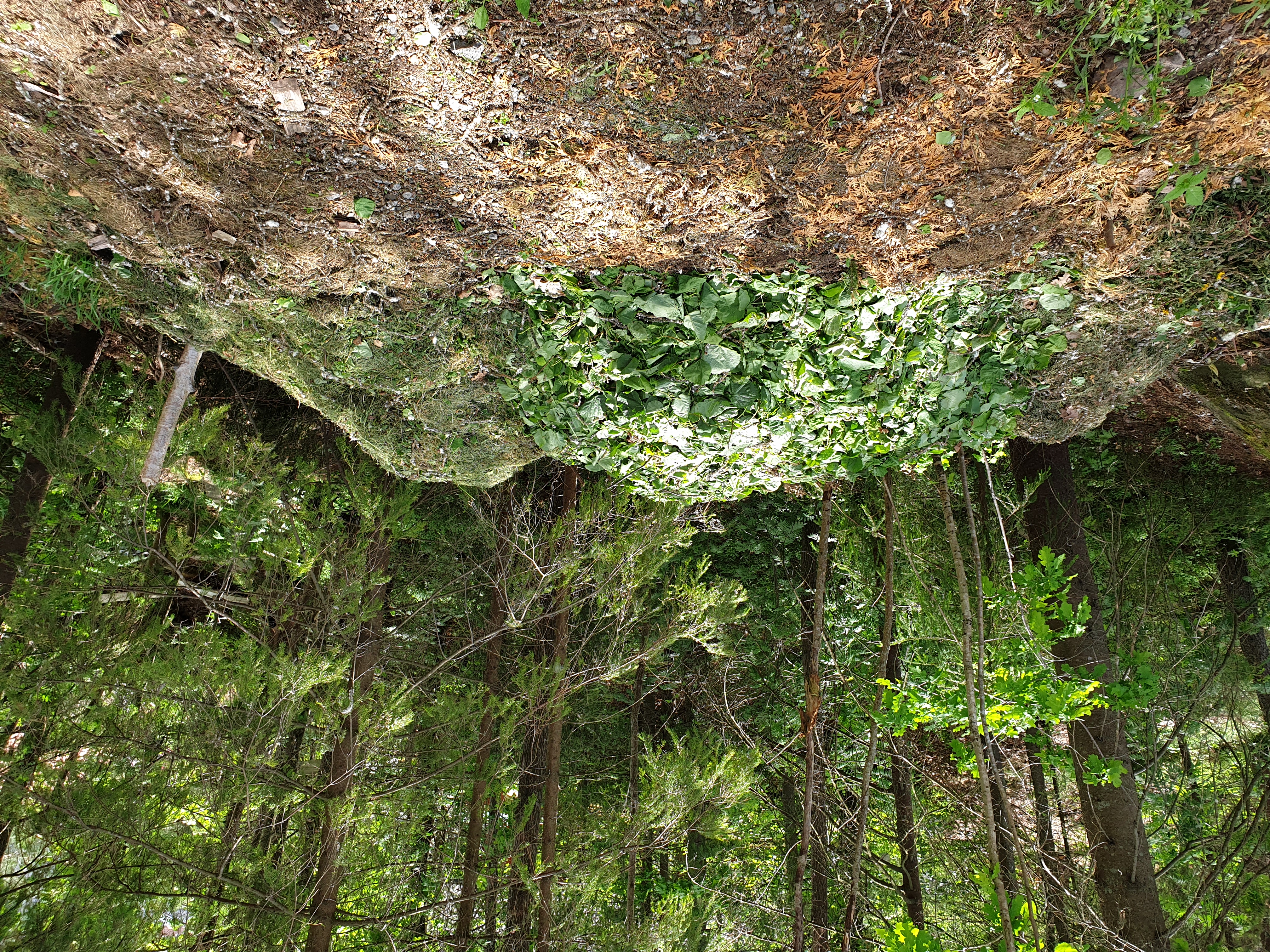 Hageavfall I Naturen